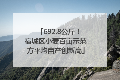 692.8公斤！宿城区小麦百亩示范方平均亩产创新高